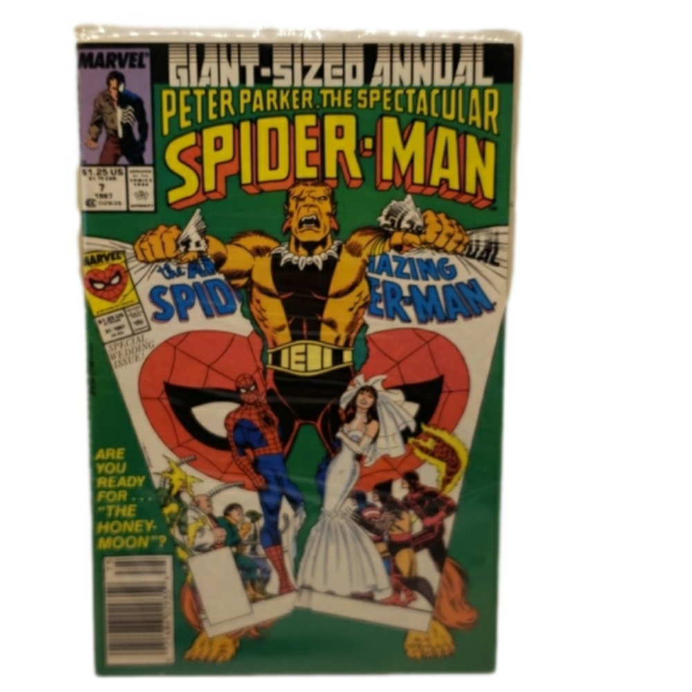 Comic Book Giant-Sized Annual 'Peter Parker, The Spectacular Spider-Man 19